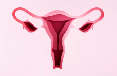 Endometriosis and Fertility Issues and Solutions
