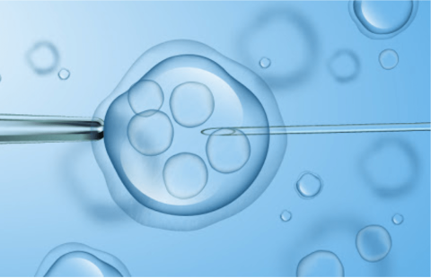 IVF and Beyond Alternative Fertility Treatment Options