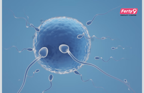 5 tips to increase male fertility