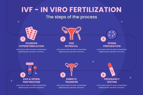 Fertility Preservation Options and Importance