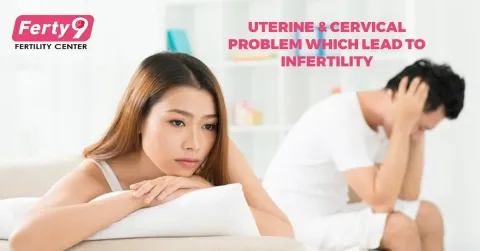 Uterine and cervical problems that lead to infertility