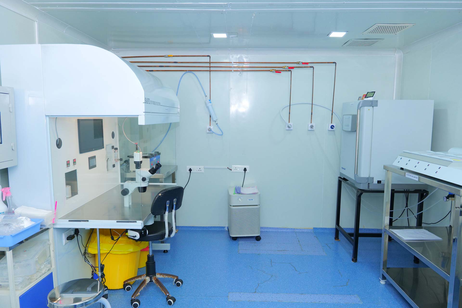 Doctor Image