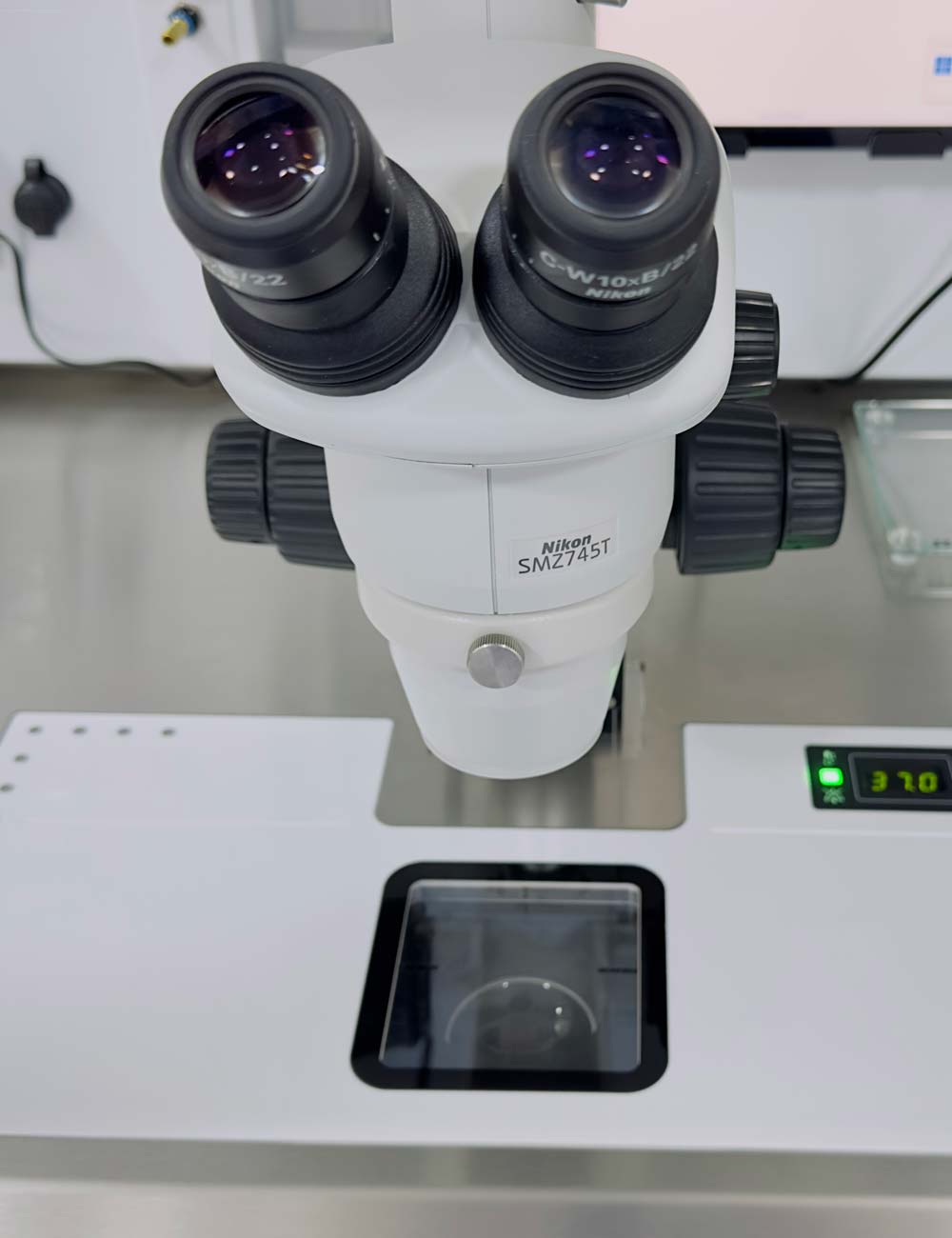 IVF Treatment