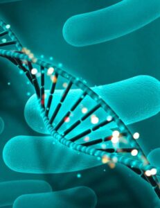 Pre Implantation Genetic Testing Screening