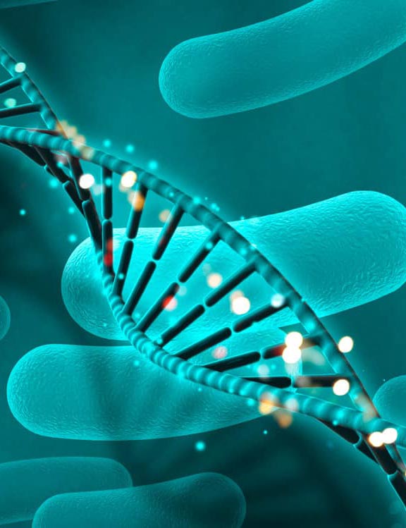 Pre Implantation Genetic Testing Screening
