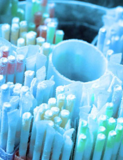 Fertility Preservation Treatment