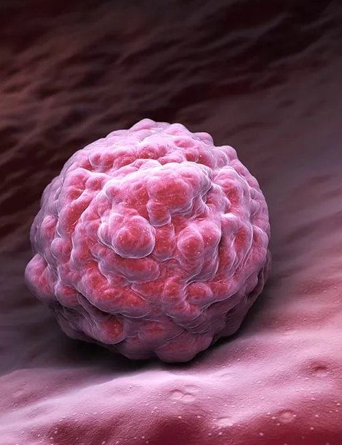BLASTOCYST CULTURE TREATMENT