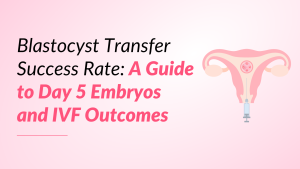 Blastocyst Transfer Success Rate