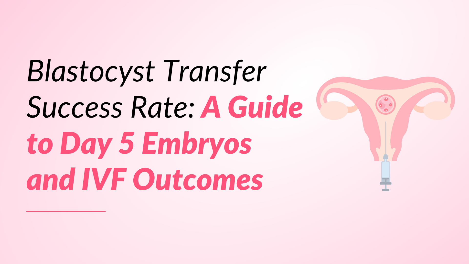 Blastocyst Transfer Success Rate