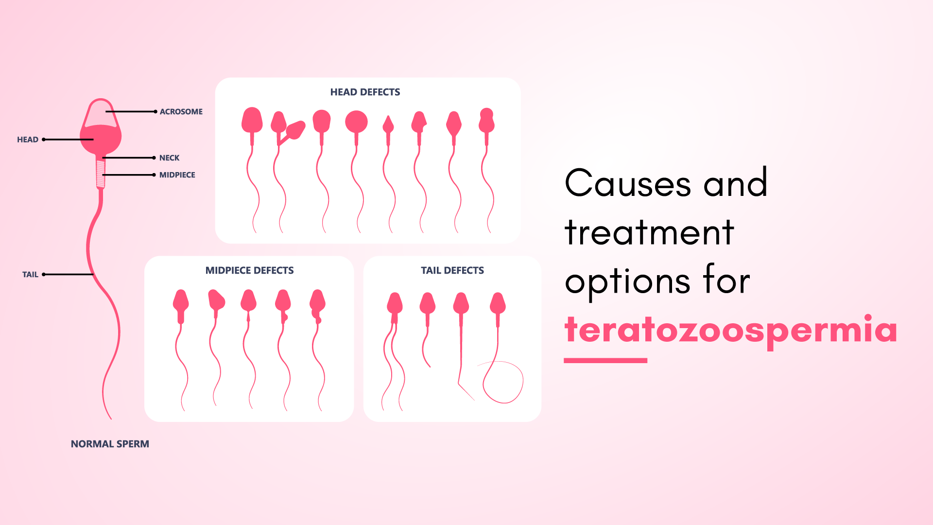 Causes and Treatment Options to Consider
