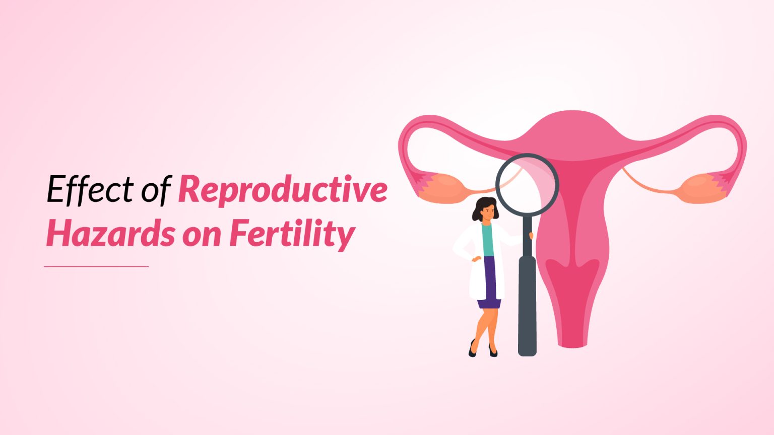 Discuss Reproductive Risk Reproductive Toxicity and Their Impact on Fertility Health