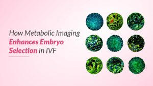Metabolic Imaging Enhances Embryo Selection in IVF