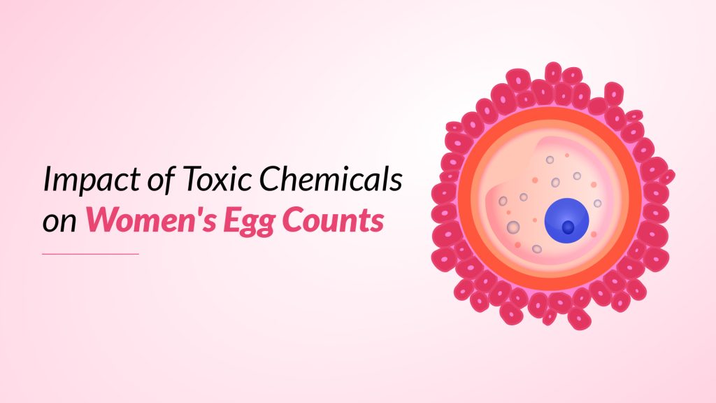 Impact of Toxic Chemicals on Women’s Egg Counts