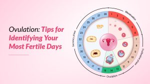 Ovulation Tips