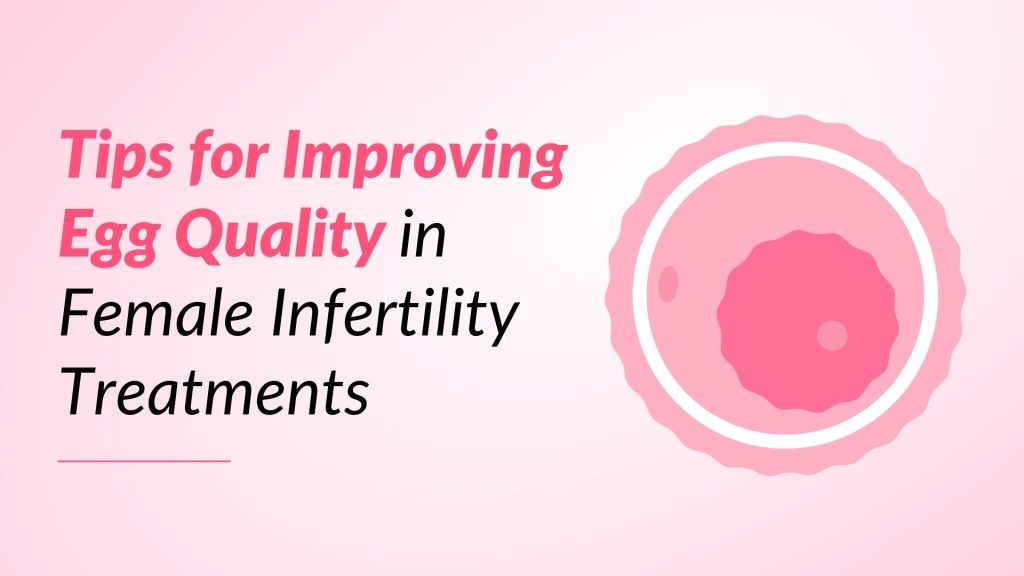 Tips for Improving Egg Quality in Female Infertility Treatments