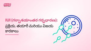 iui procedure telugu