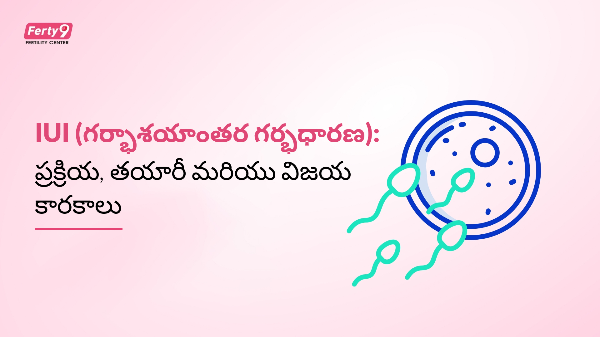 iui procedure telugu