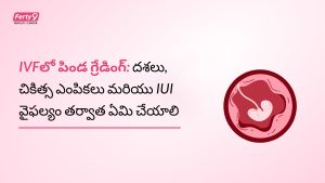embryo grading ivf options after iui failure telugu