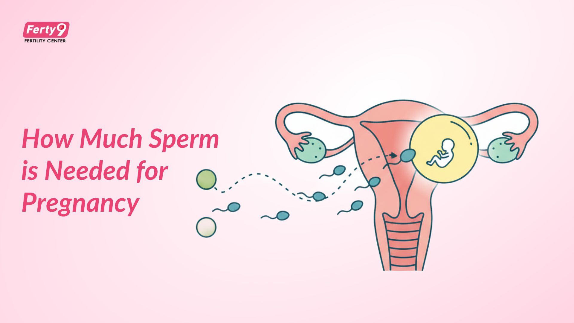 How Much Sperm is Needed for Pregnancy